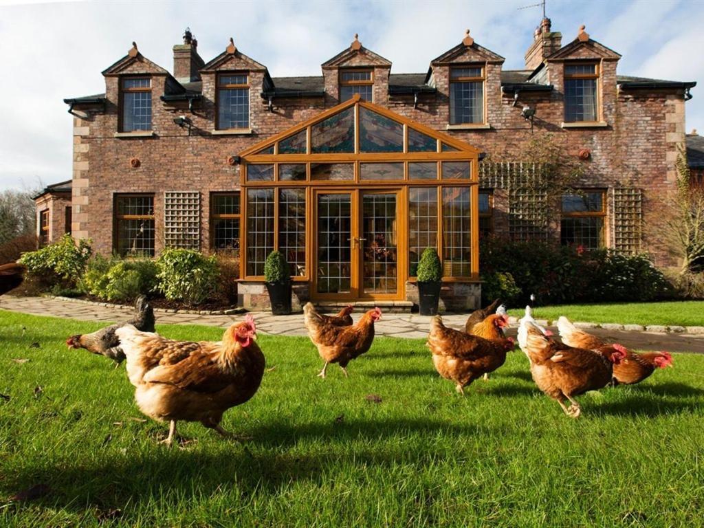 Blackwell House Banbridge Luaran gambar